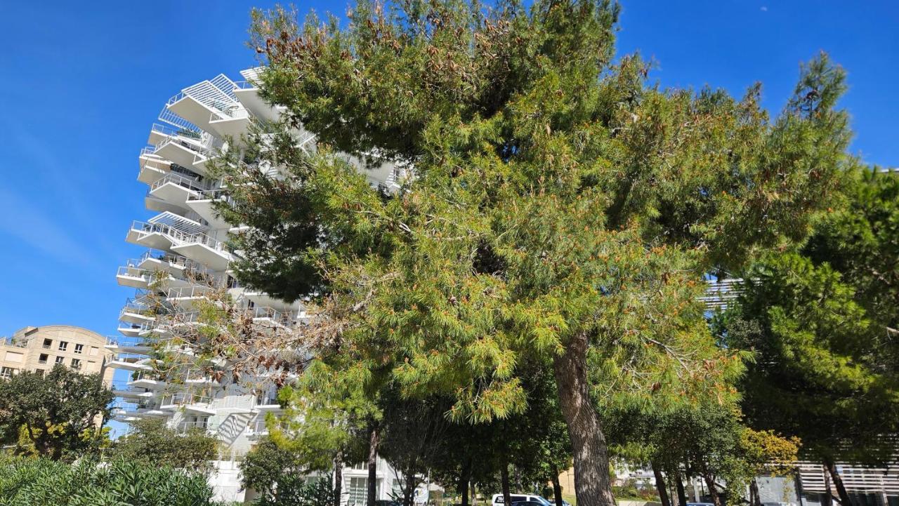 Arbre Blanc, Une Folie Montpellieraine Bagian luar foto